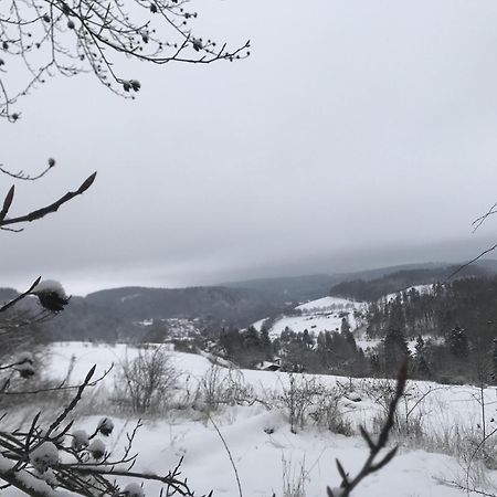 Bergchalet La Roubine Willingen Neerdar Esterno foto
