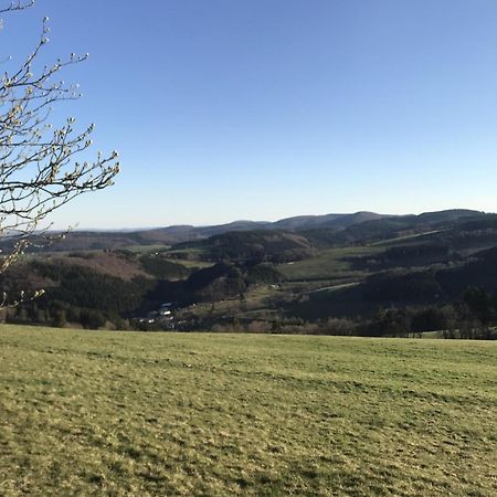 Bergchalet La Roubine Willingen Neerdar Esterno foto