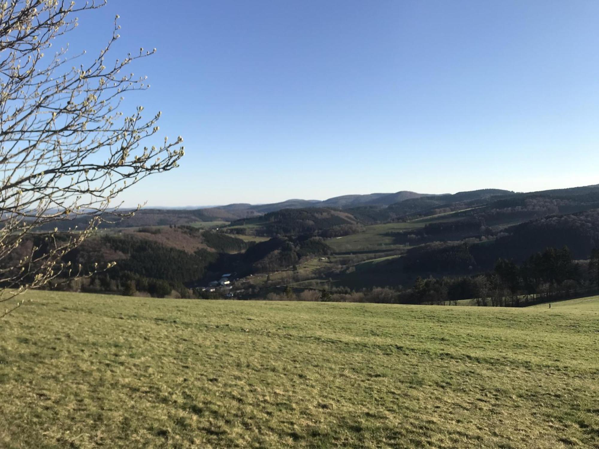 Bergchalet La Roubine Willingen Neerdar Esterno foto