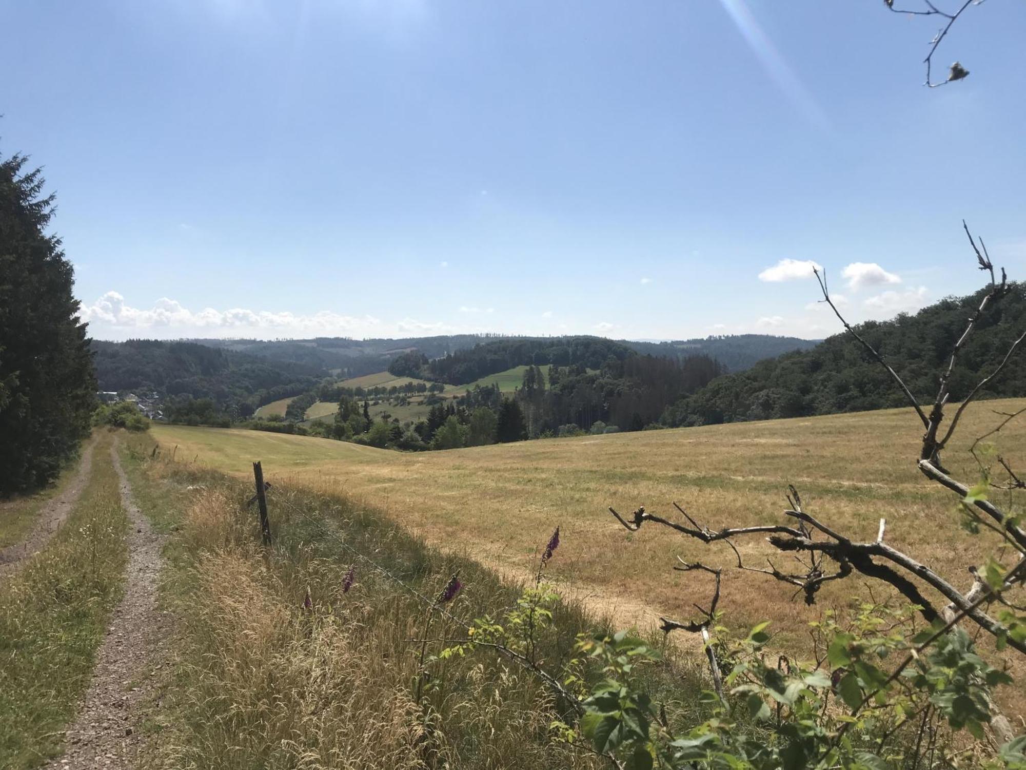 Bergchalet La Roubine Willingen Neerdar Esterno foto